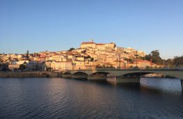 Conference “15th Mediterranean Conference on Medical and Biological Engineering and Computing”, Coimbra