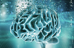 AI in Alzheimer’s Research: Polish Scientist Completes Internship at the Institute